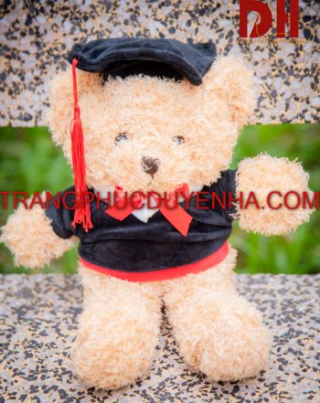 Gấu bông tốt nghiệp GBTN001